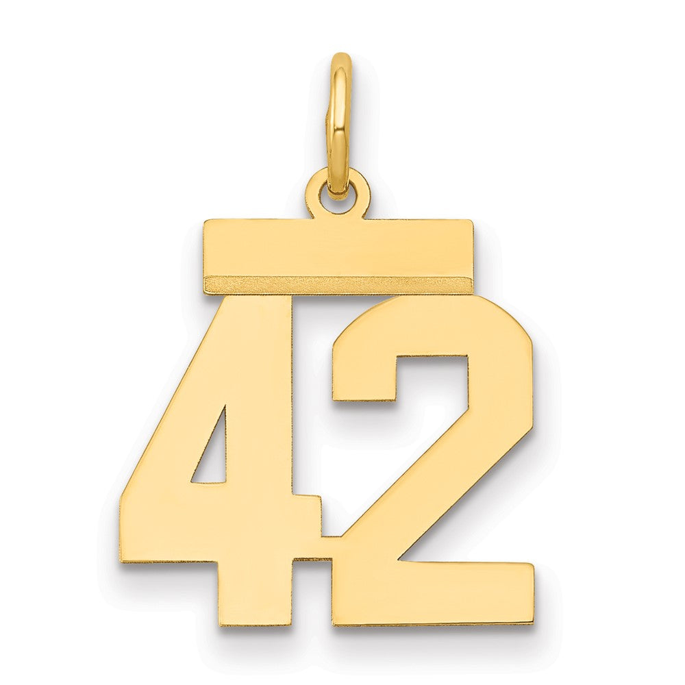 14k Small Polished Number 42 Charm