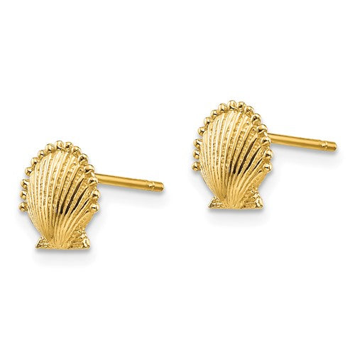 14k Scallop Shell Post Earrings