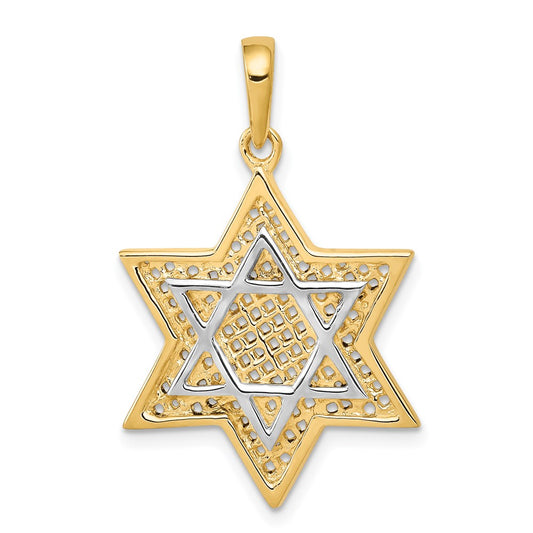 14K w/Rhodium Solid Mesh Star Of David Charm
