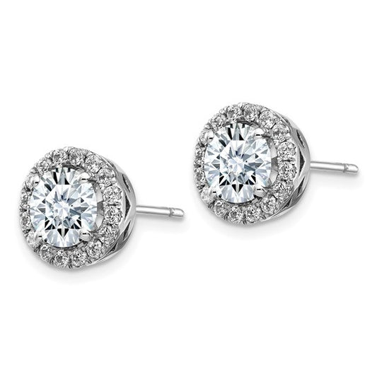 14k White Gold Round Halo G H I True Light Moissanite Earrings