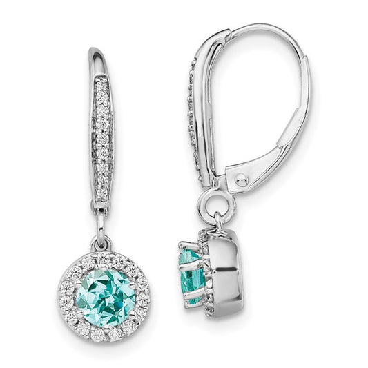 14K White Gold Lab Grown Diamond VS/SI GH, and Cr Paraiba Leverback E