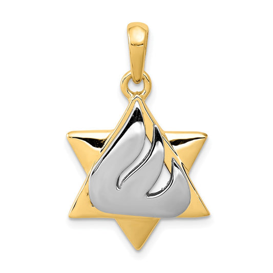 14k Two-tone Star of David Pendant