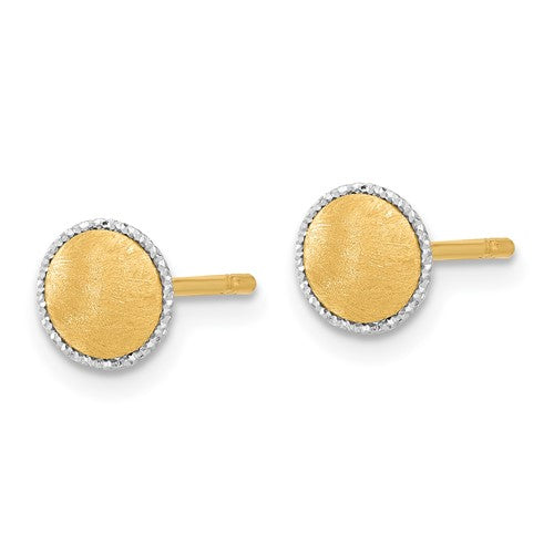 Leslie's 14K with White Gold Accent Brushed Post Earrings