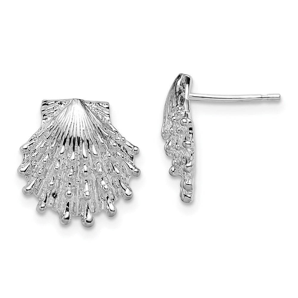 Sterling Silver Rhodium-plated Polished Lions Paw Shell Post Earrings