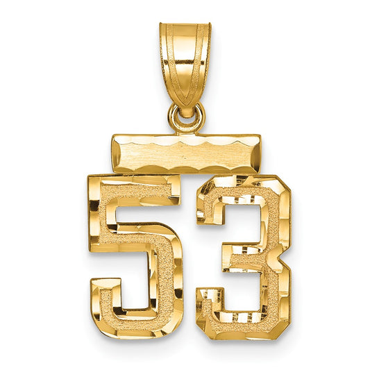 14k Small Brushed Diamond-cut Number 53 Charm