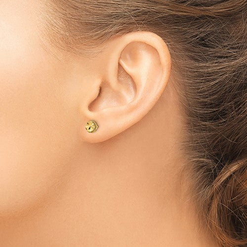 14K Diamond-Cut Round Post Earrings